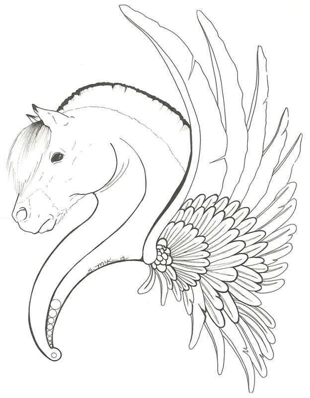 Pegasus Mckim.webp
