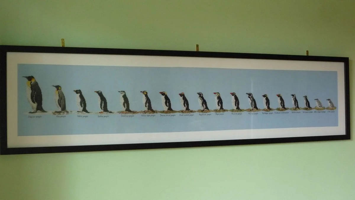 Penguin embroidery.webp
