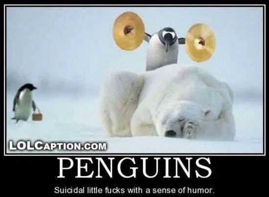 penguins-how-do-they-work-suicidal-lolcaption-funny-demotivationals.webp