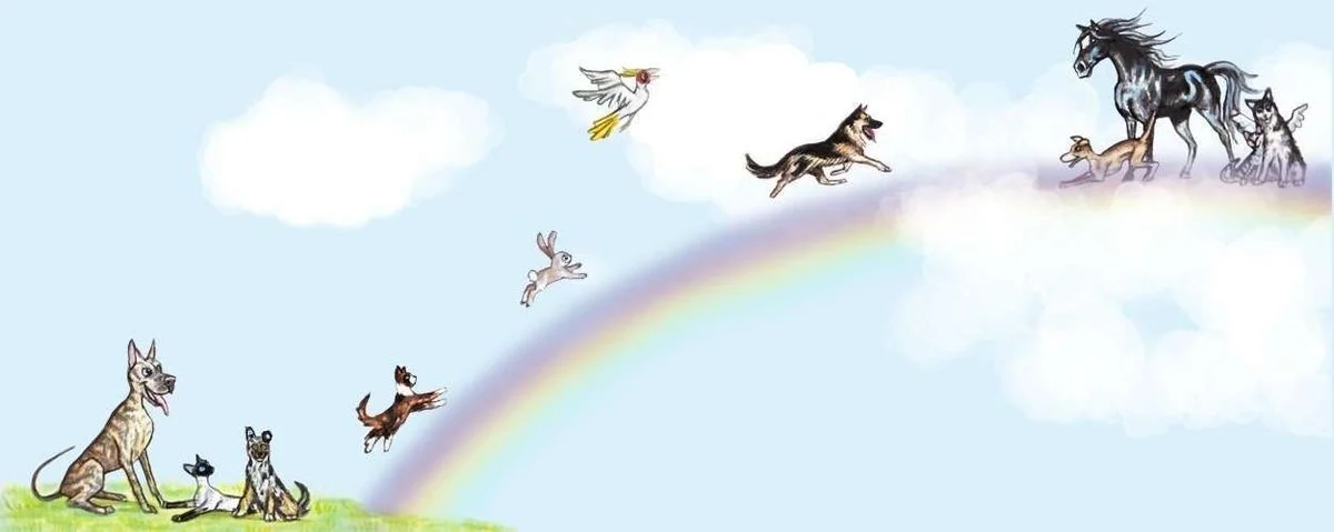 pet_heaven.webp