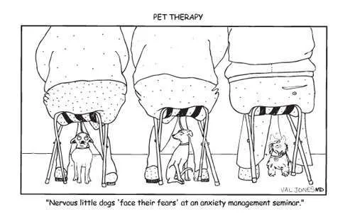 pettherapy.webp