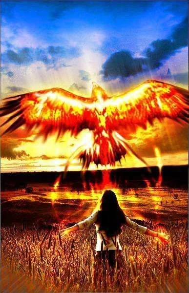 pheonix.webp