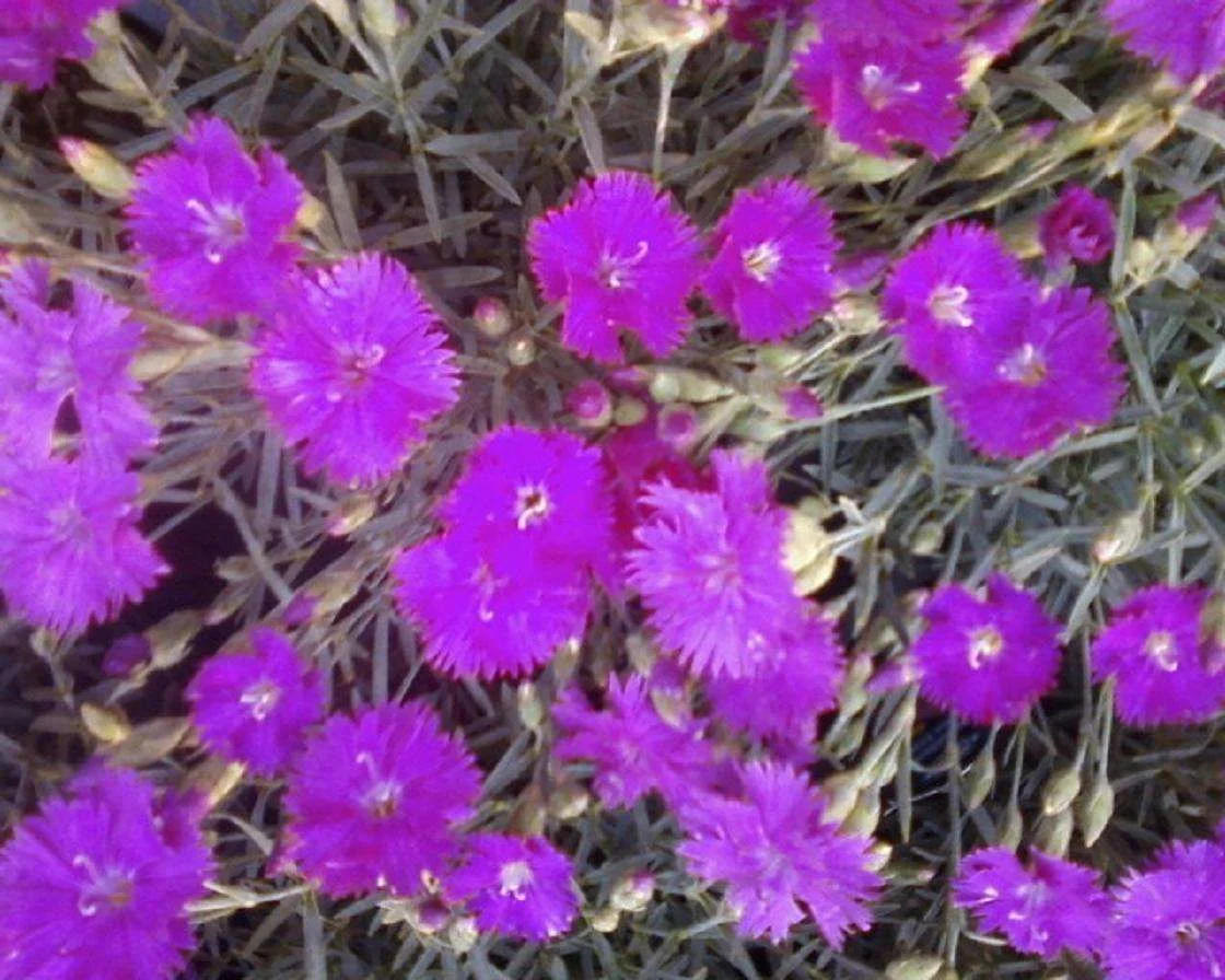 Photo-0109.webp