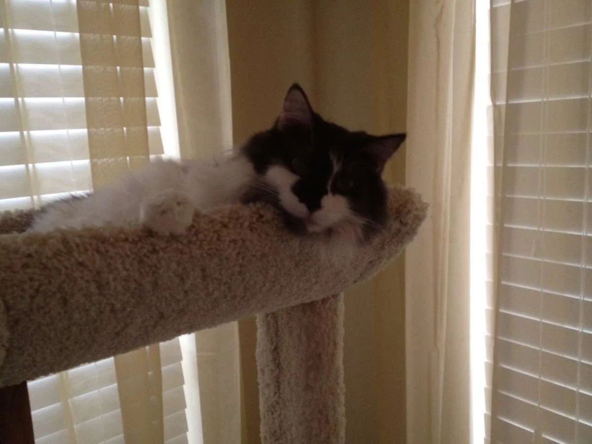 photo(3).webp