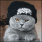 photo-31547[1].gif