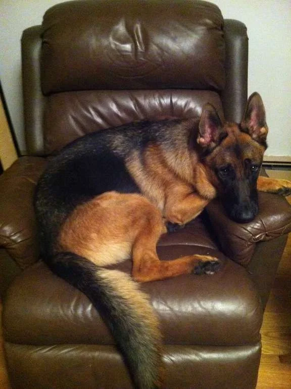 photo-5.webp