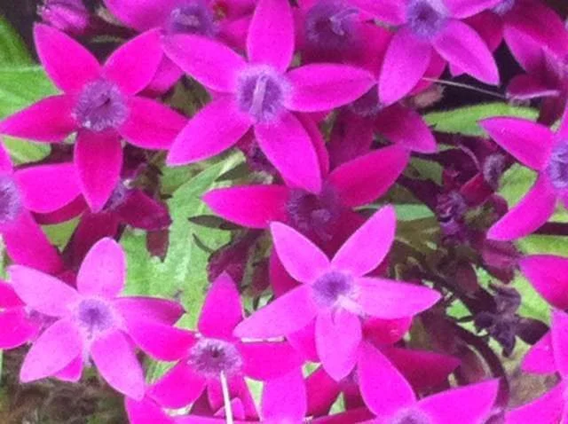 photo.webp