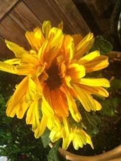 photo.webp