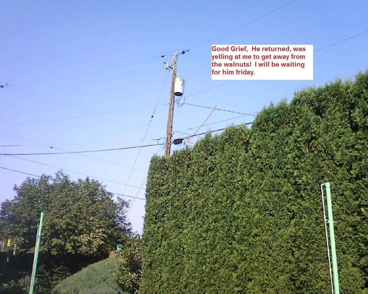 Photo09201549.webp
