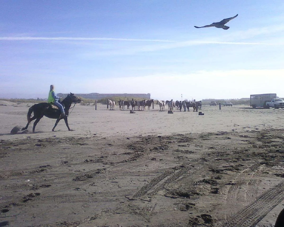 Photo09291102.webp