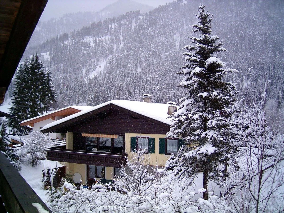 PIC_0029.webp