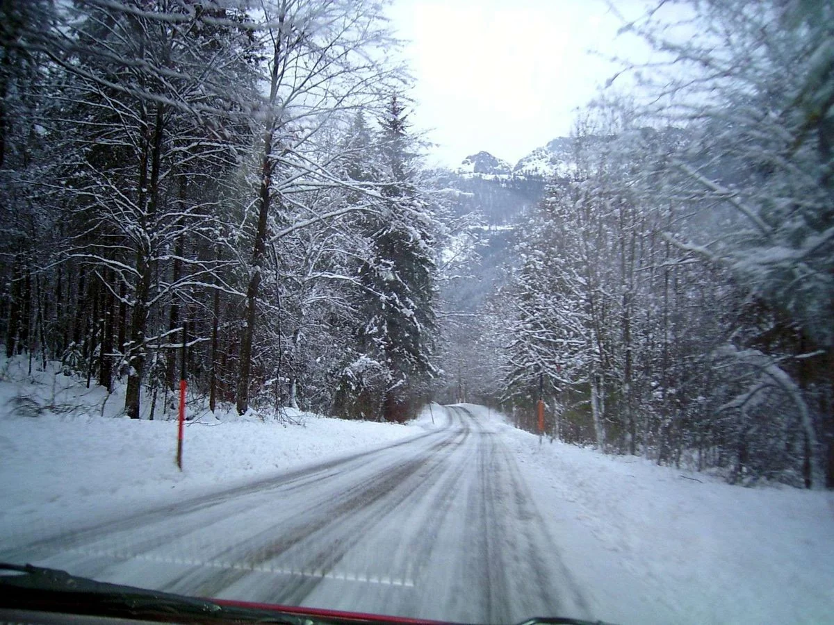 PIC_0048.webp