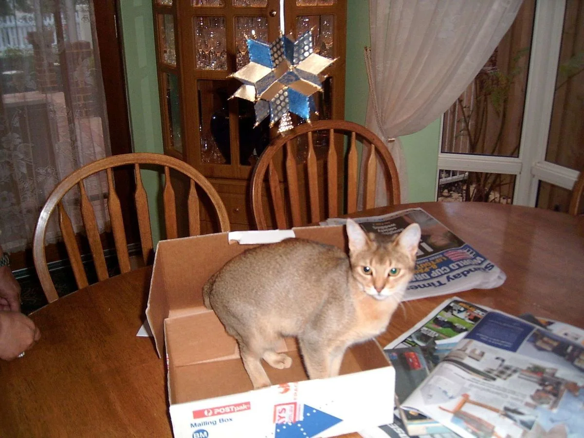 PIC_0076.webp