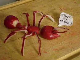 Picnic ant.webp