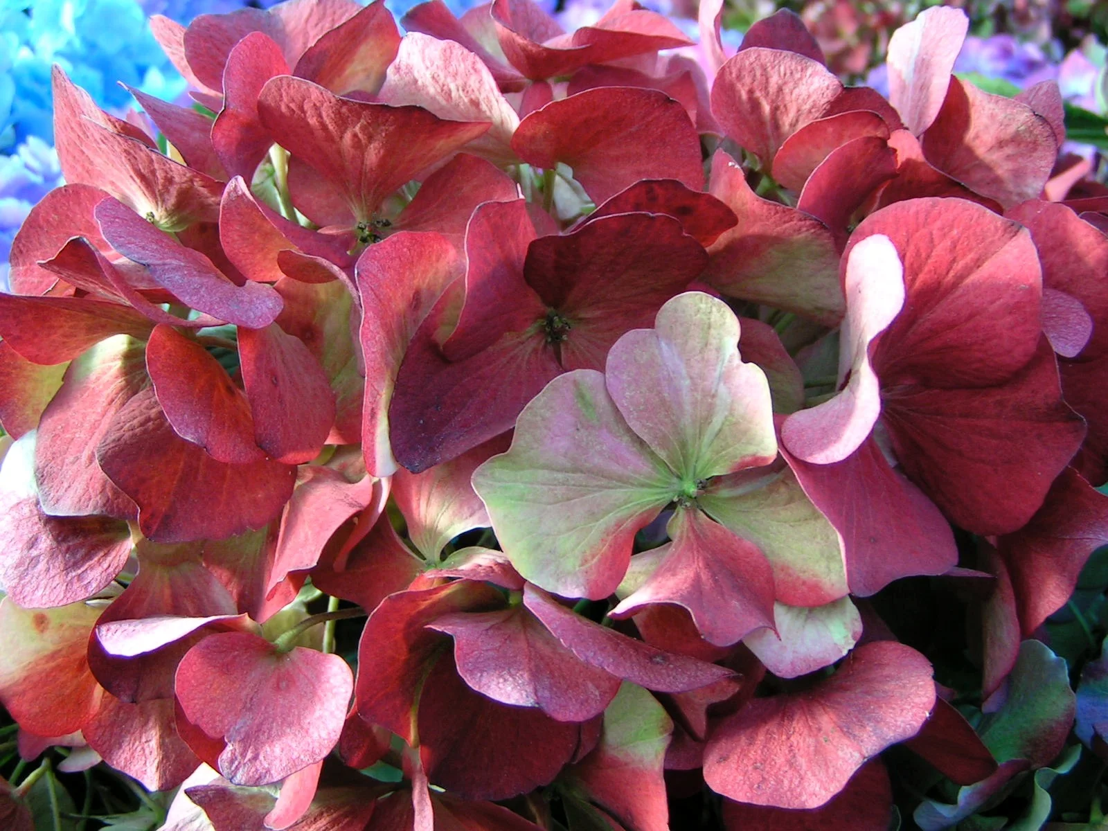 PICT0403.webp