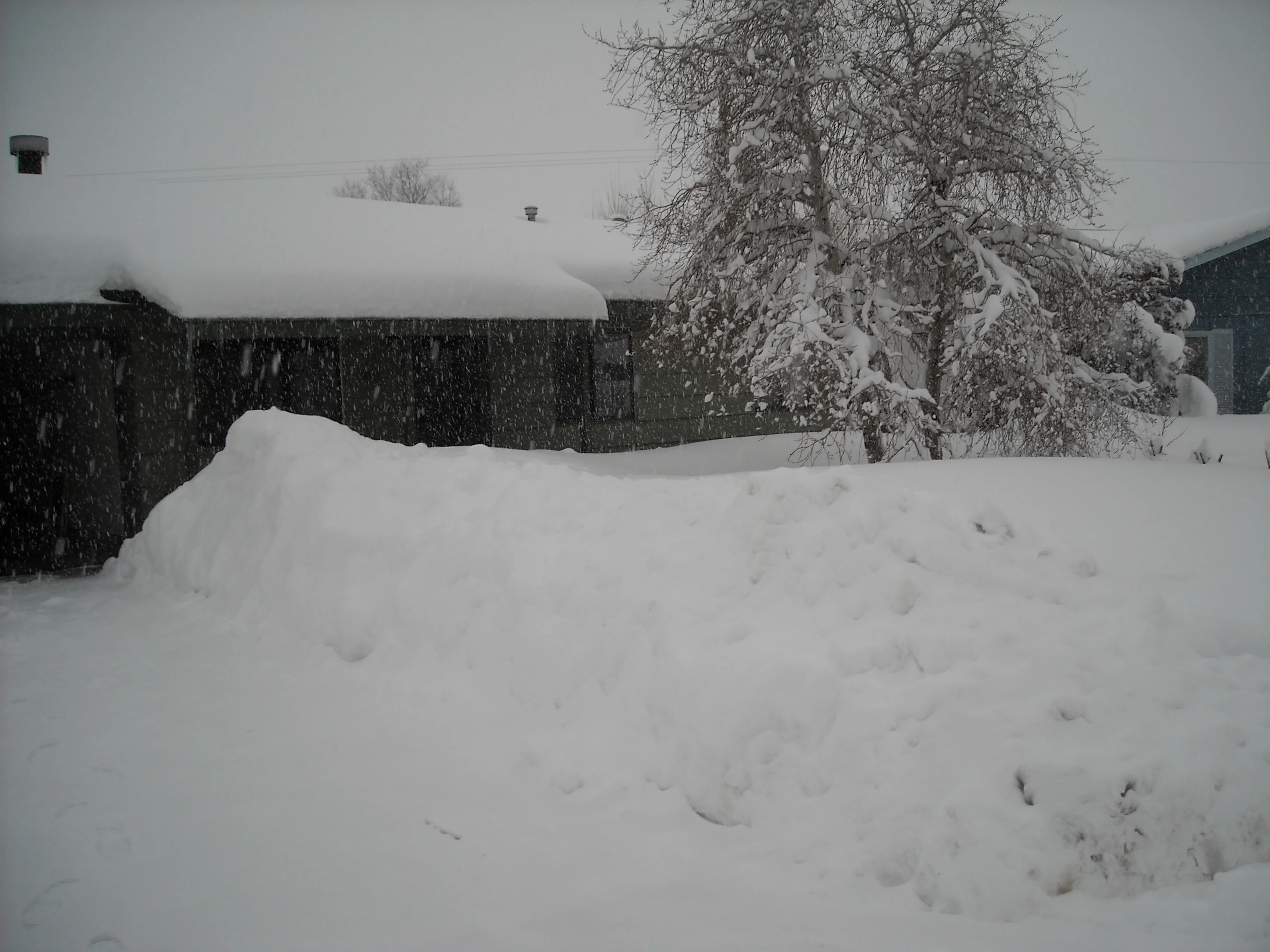 Picture 071.webp