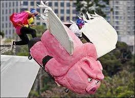 pigs fly.webp