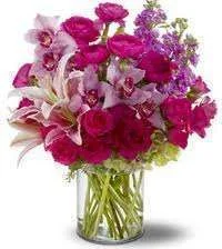 pink flowers.webp