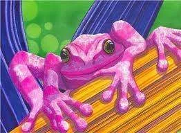 pink frog.webp