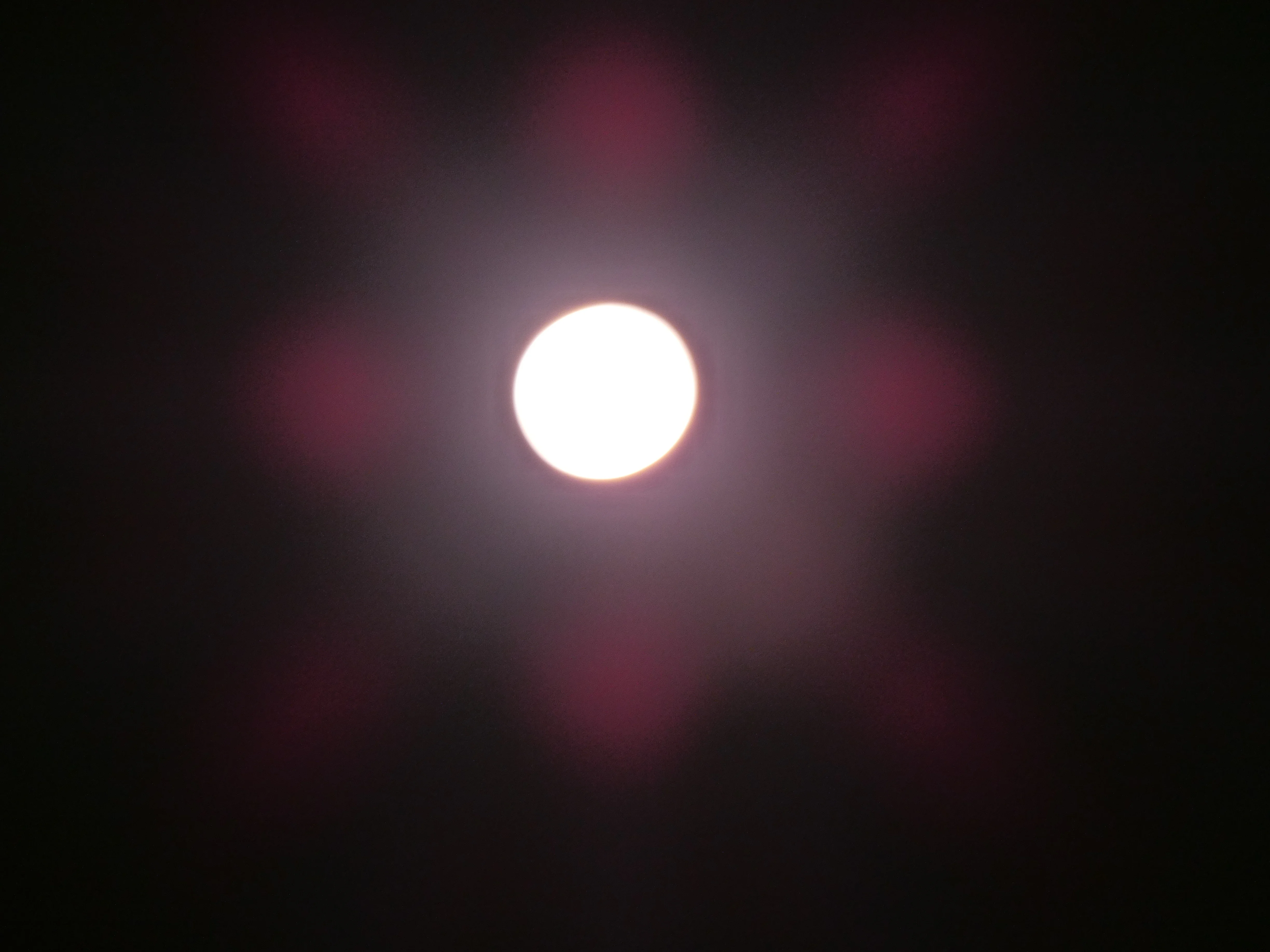 Pink moon.webp