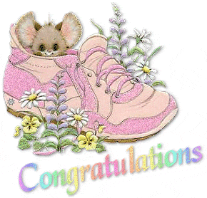 pink shoe mouse.gif