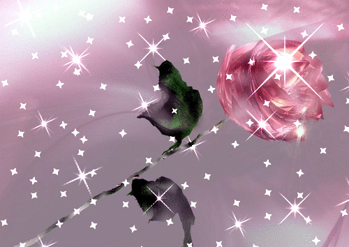 Pink-Sparkle-Animated-roses-11033142-500-354.gif