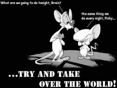 pinky_brain.webp