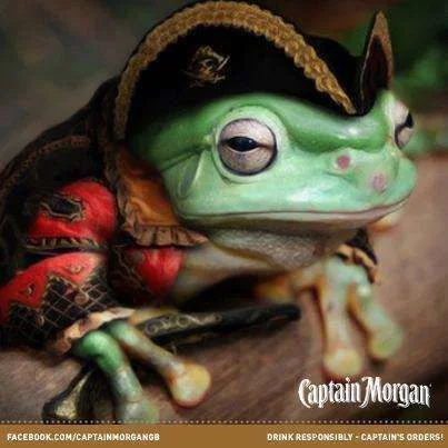 pirate frog.webp