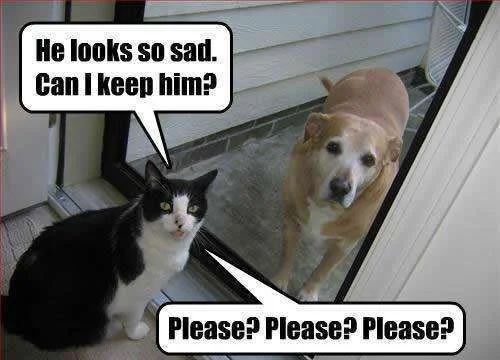 please.webp
