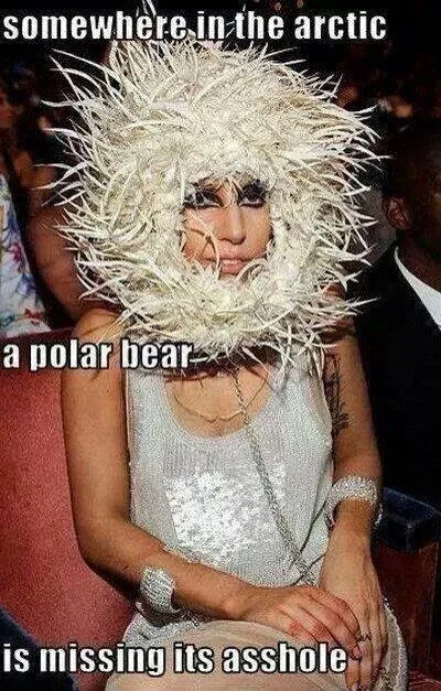 polar.webp