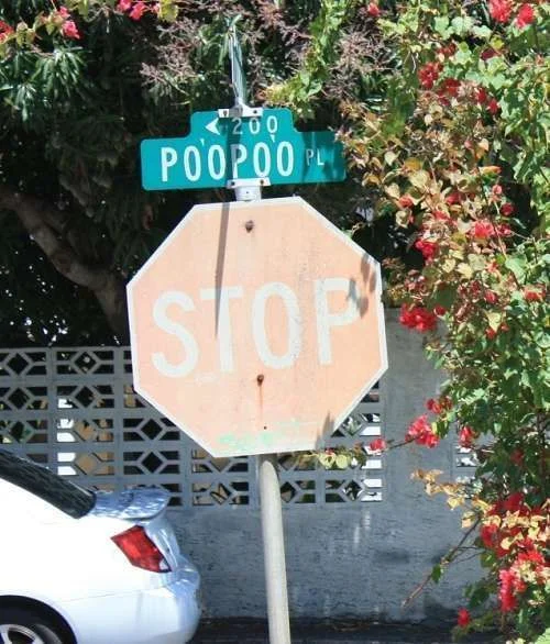 poopoo place.webp