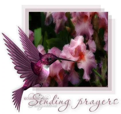 PRAYERS2520252D2520hb3-vi.webp
