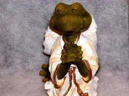 Praying frog.webp