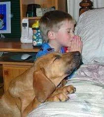 praying.webp