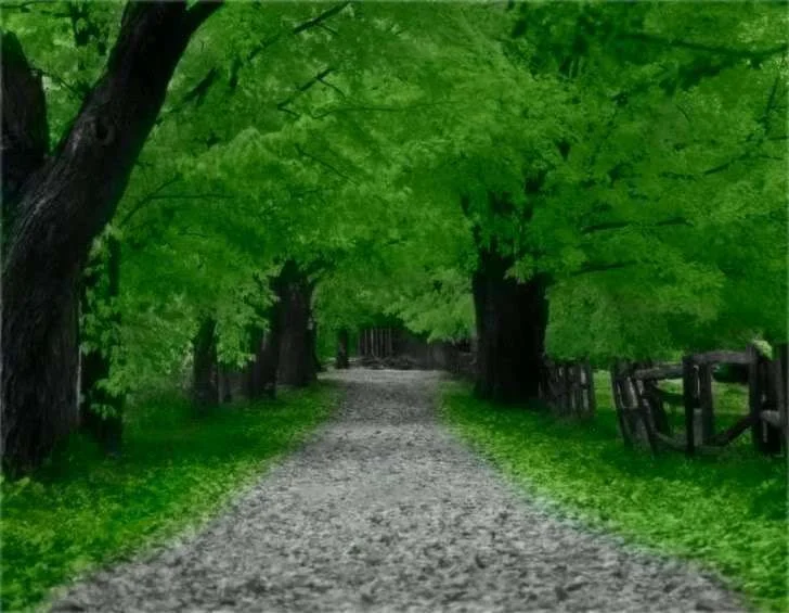 pretty-31.webp
