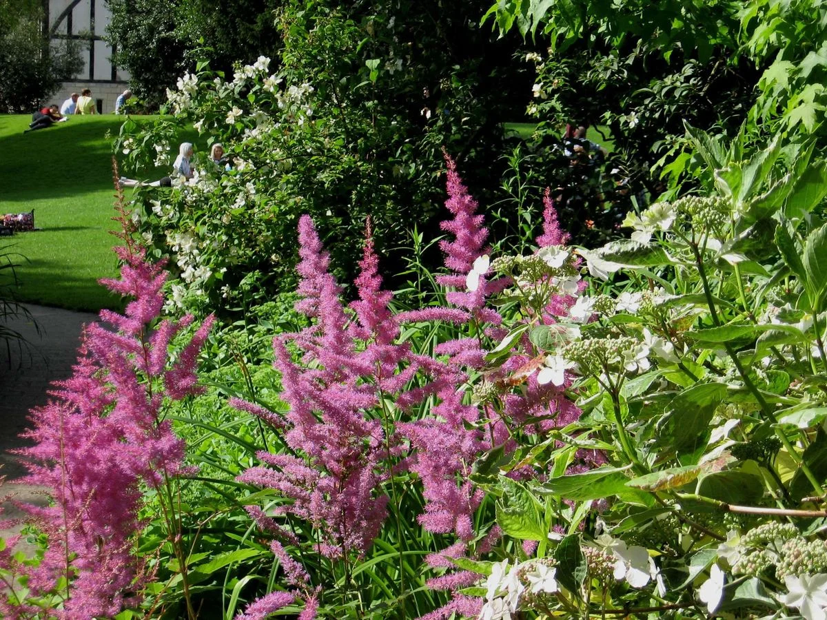 Pretty flowers.webp