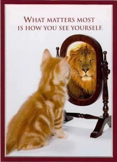Preview_image_funny_quotes_and_sayings[1].webp
