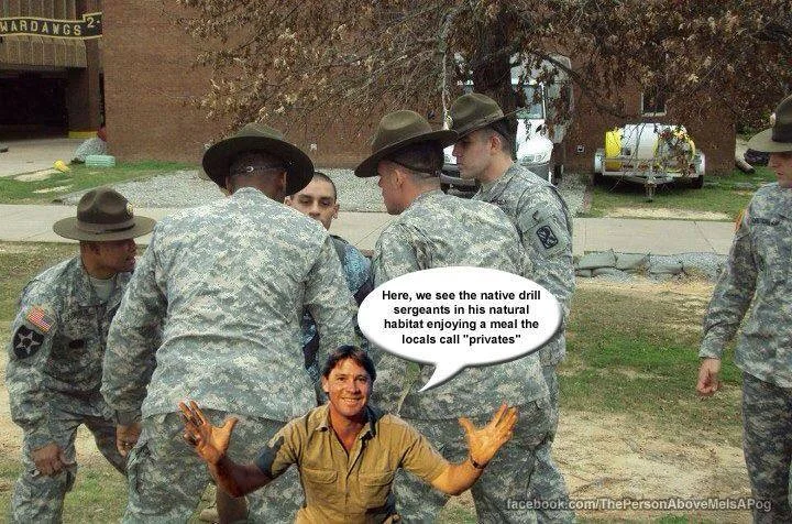 Privates.webp