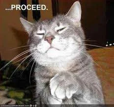 proceed.webp