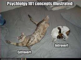 Psychology 101.webp