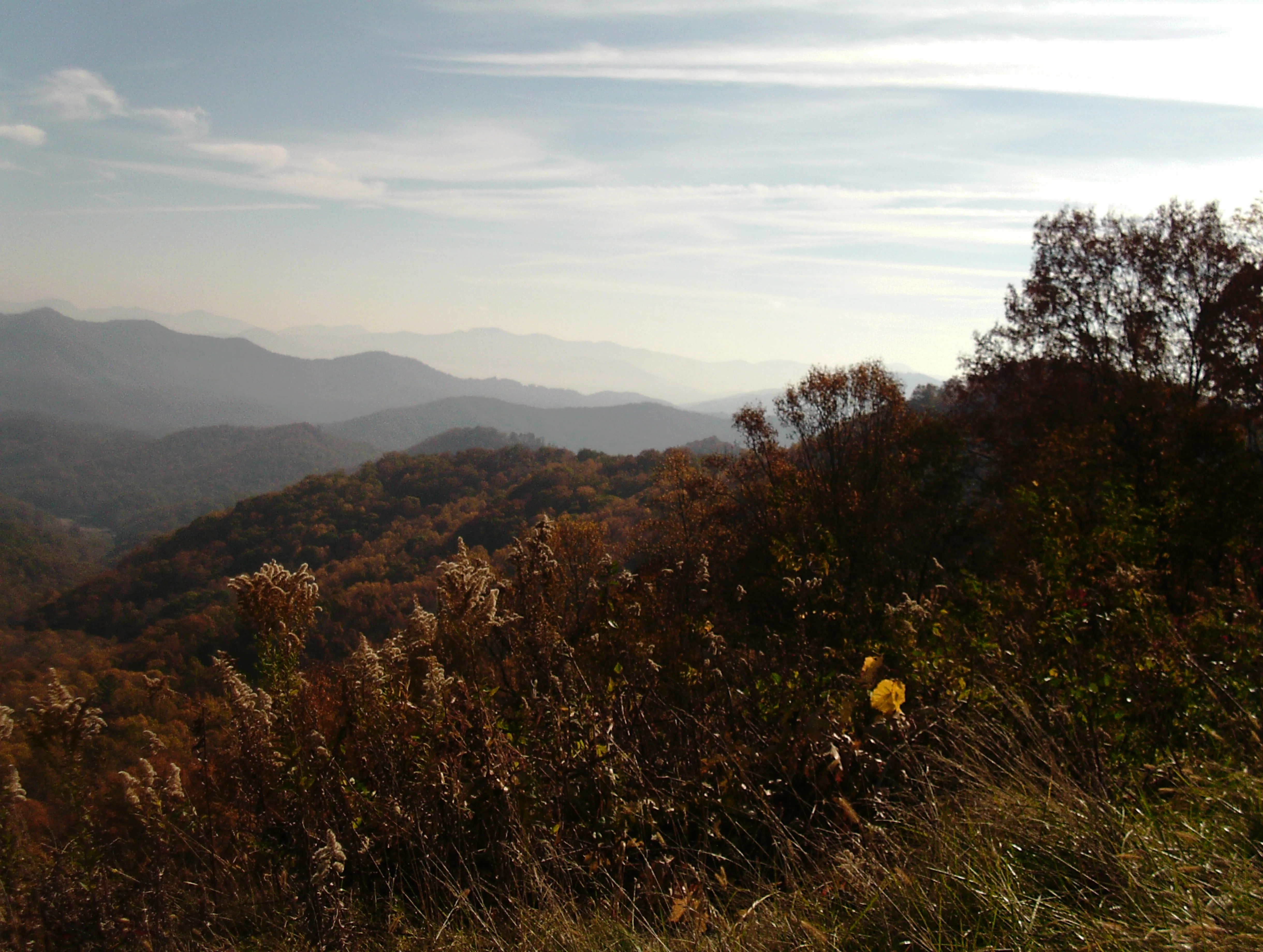 PTDC0011.webp