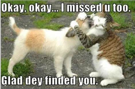 puppy and a cat saying.webp