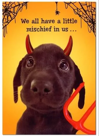 puppy in devil costume.webp