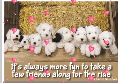 puppy saying.webp