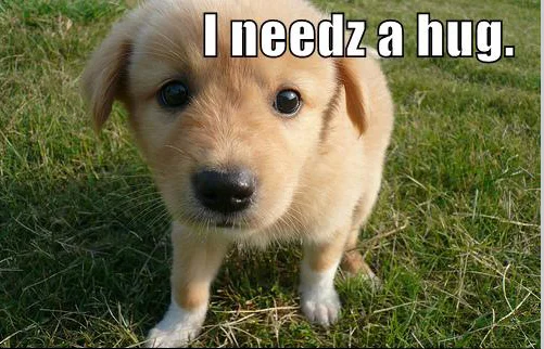 puppy says I needz a hug.webp