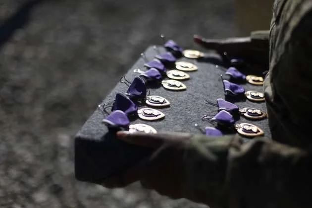 purple hearts.webp
