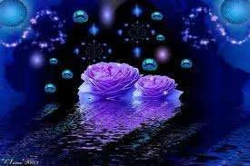 Purple roses.webp