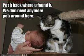 put it back.webp