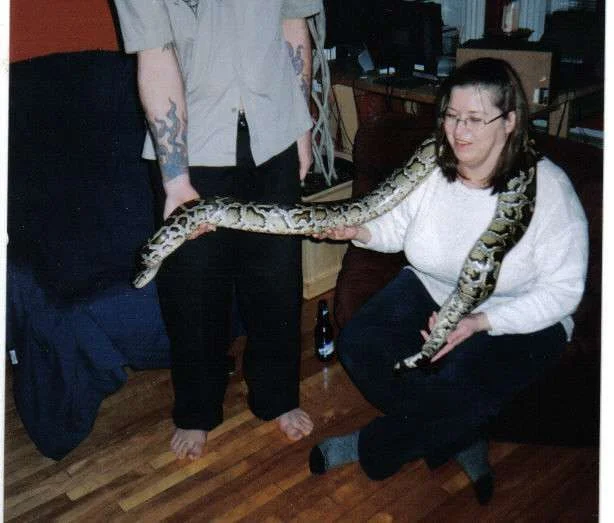 Python 2004.webp