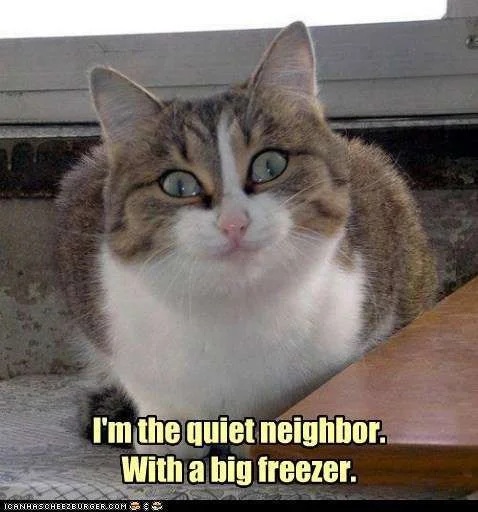 quietneighbour.webp